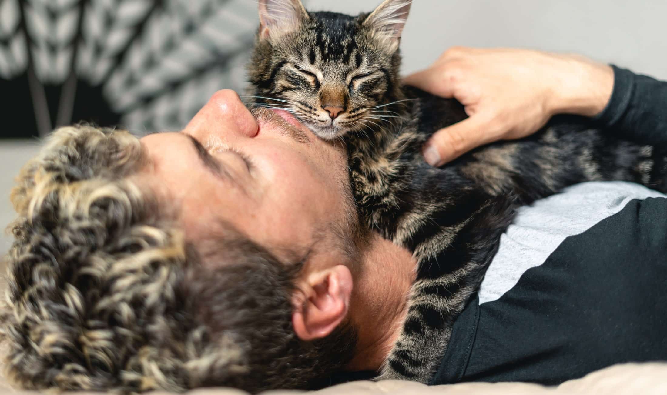At-Desert-Rose-Animal-Hospital-we-strive-to-be-the-gentle-and-steady-hand-in-your-pets-care-Mobile