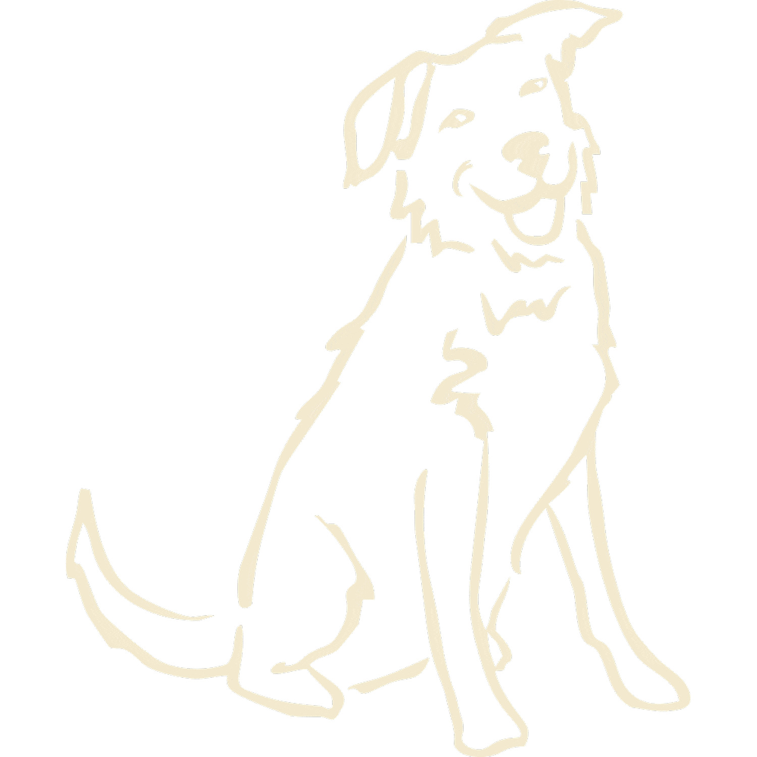 Dog icon at Desert Rose Animal Hospital in Pheonix AZ