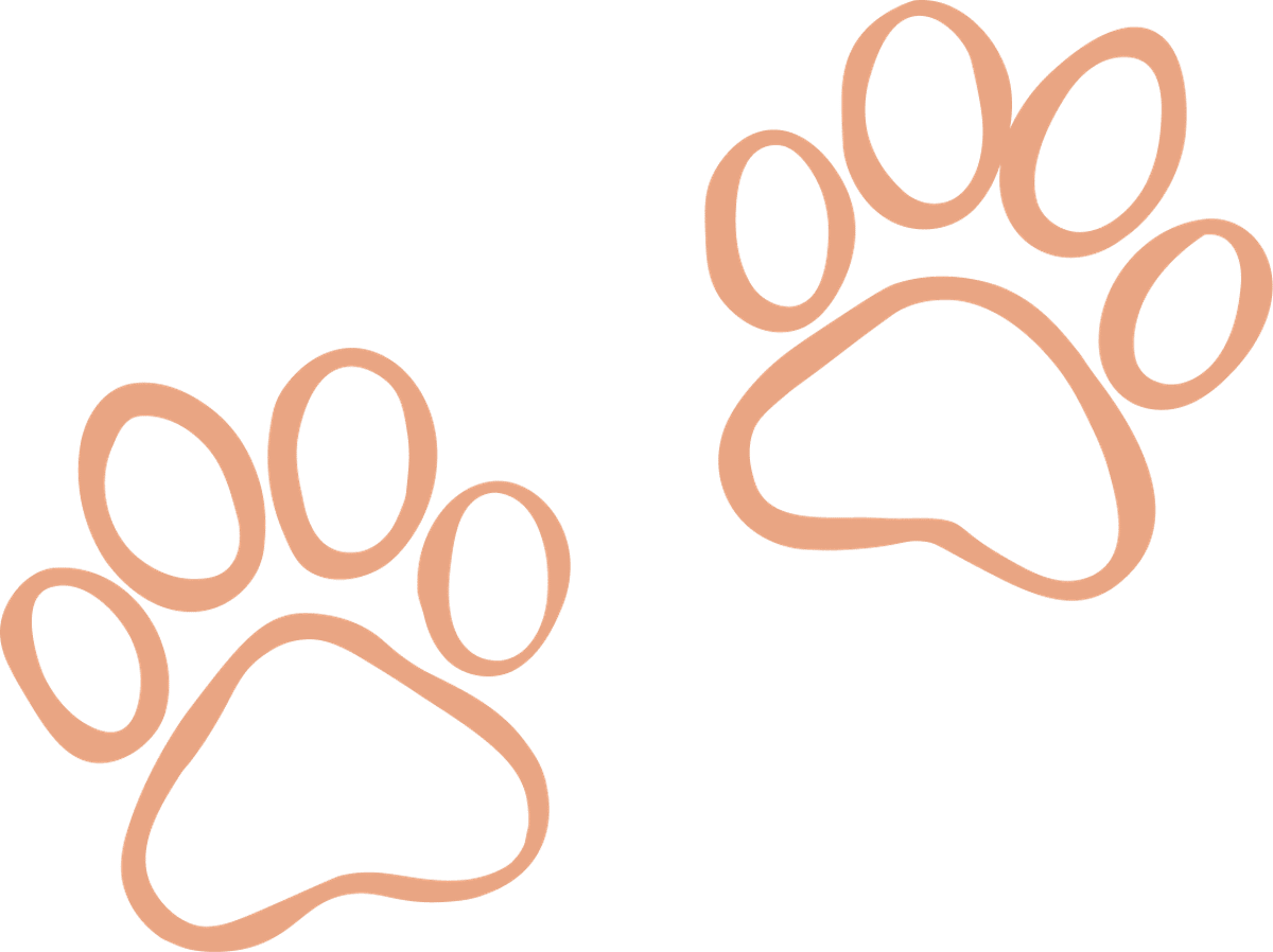 Paw Prints Pink
