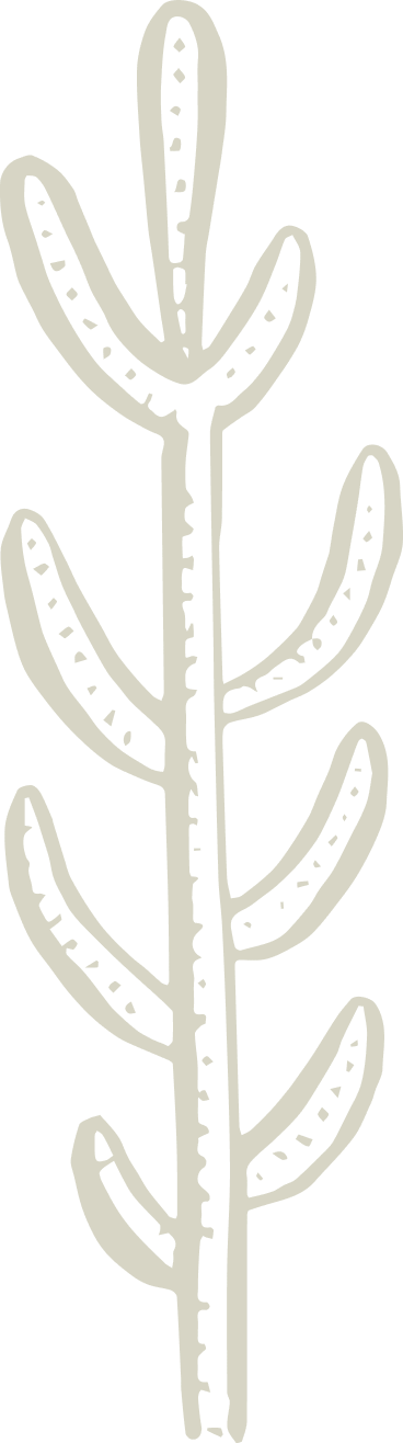 Veterinary-Care-Rooted-With-Honesty-in-Phoenix-AZ-Graphic