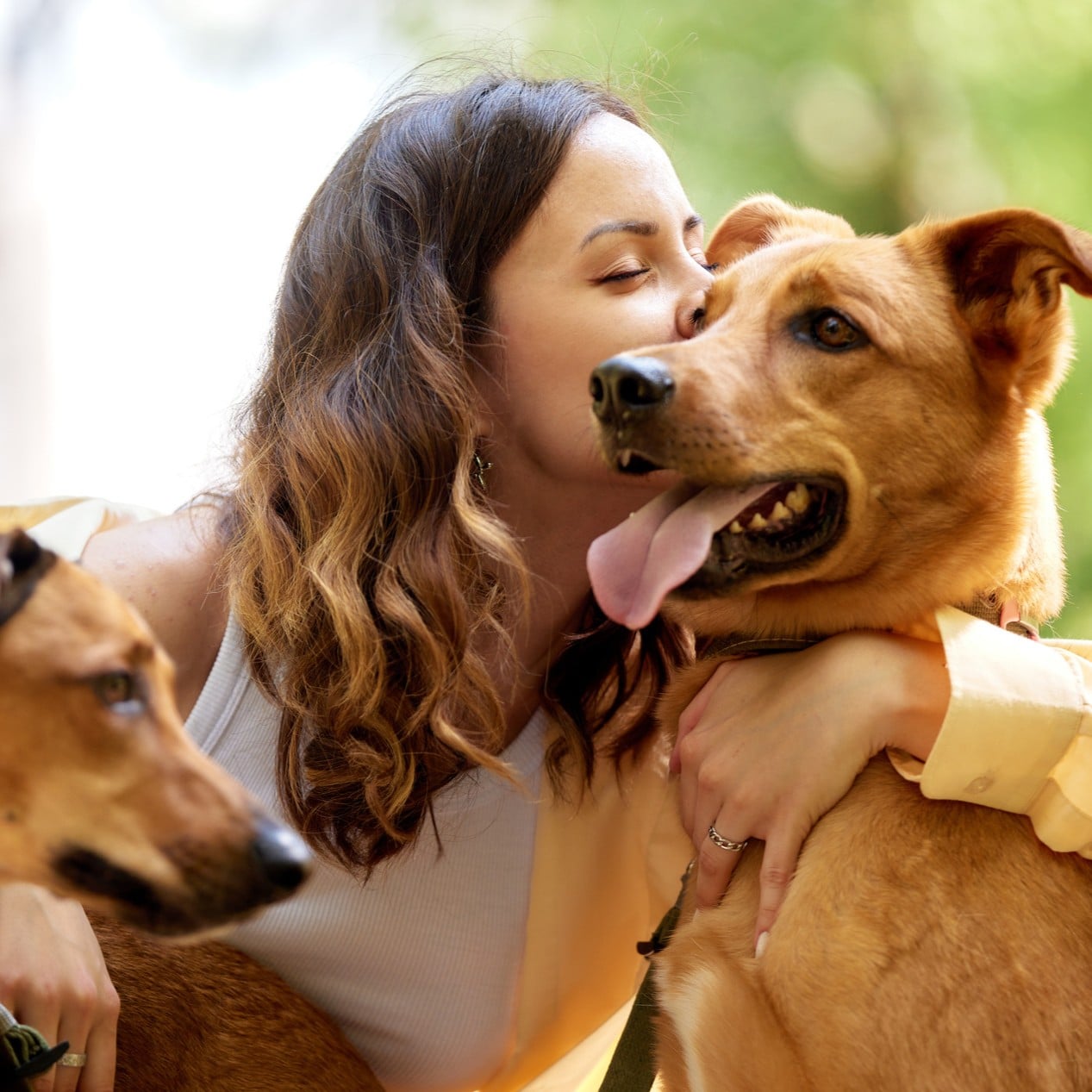Dogs happy and healthy with their owner after wellness care at Desert Rose animal Hospital