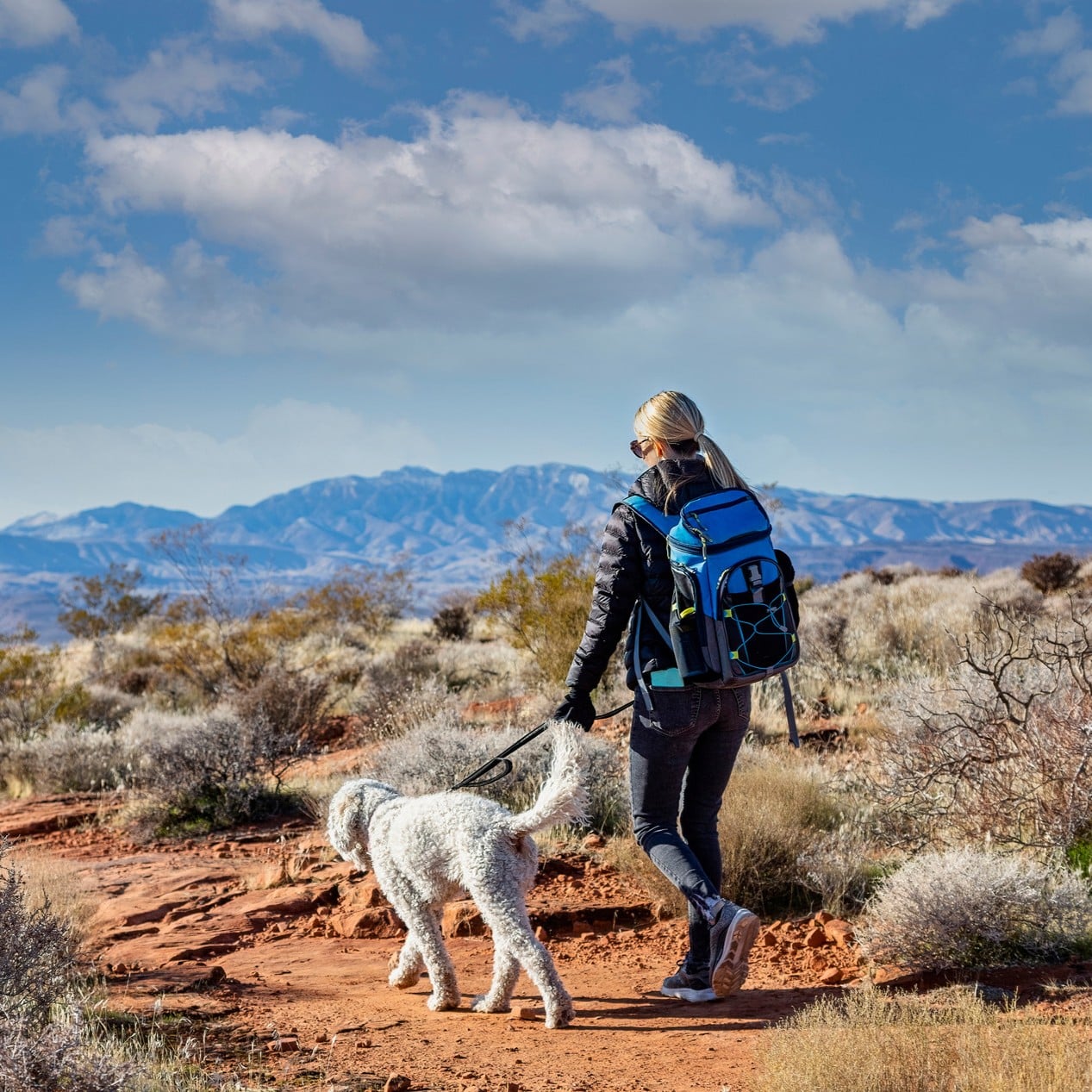 Owner and dog walk in Arizona