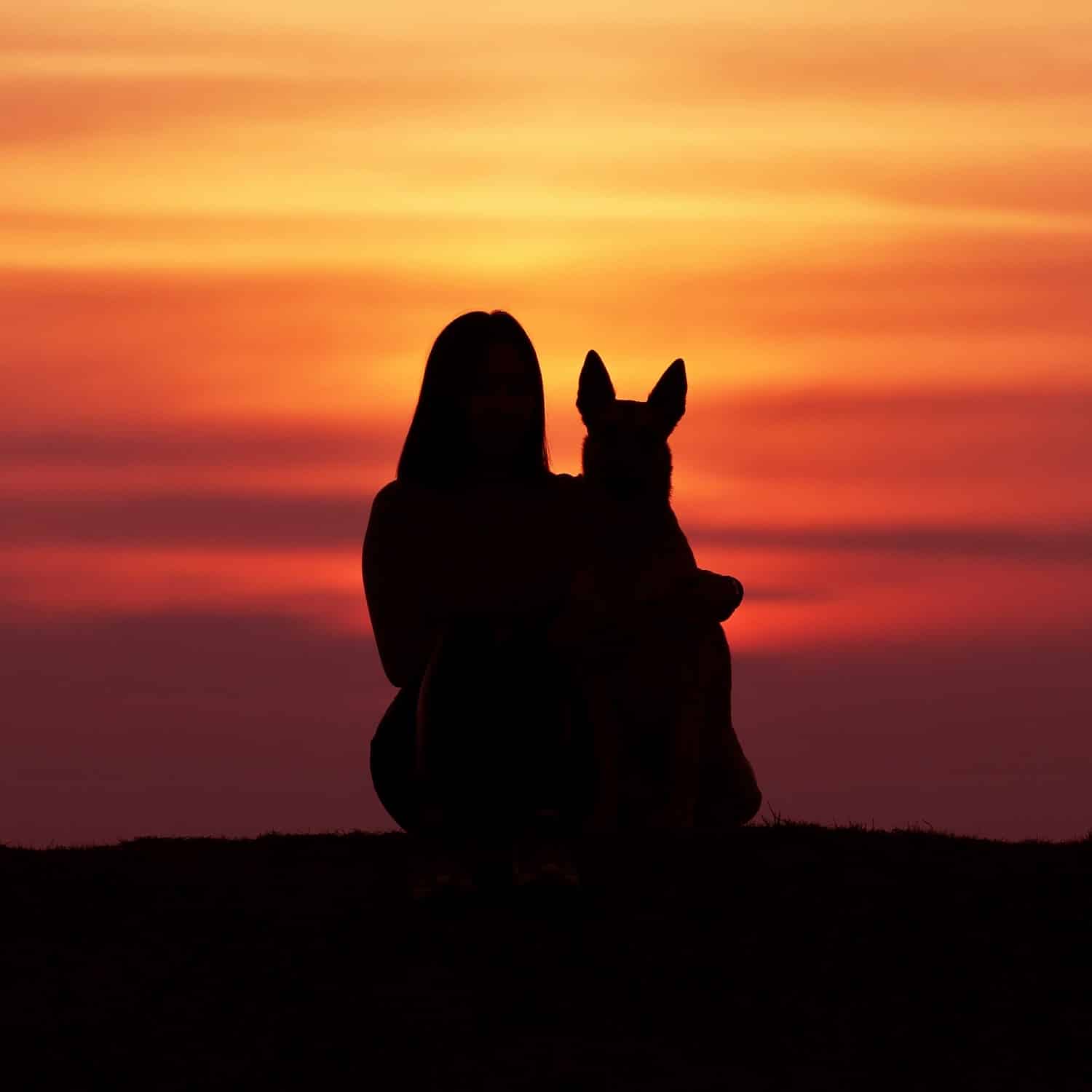 Pet and owner in Phoenix AZ