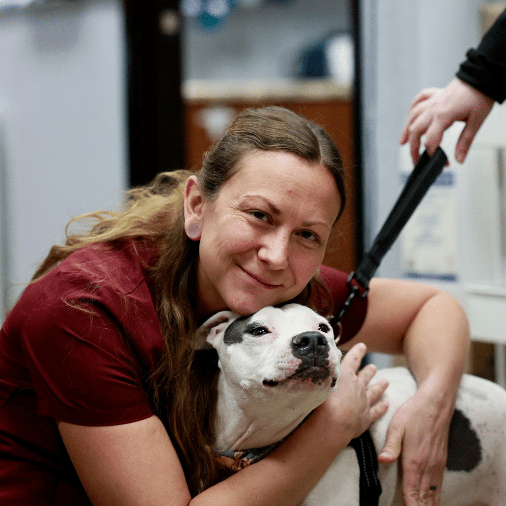 Dr. DePew at Desert Rose Animal Hospital in Phoenix AZ