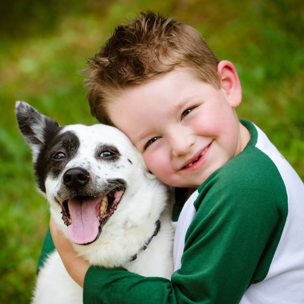 Pet and boy play together at the vet during chronic pet care in Phoenix AZ