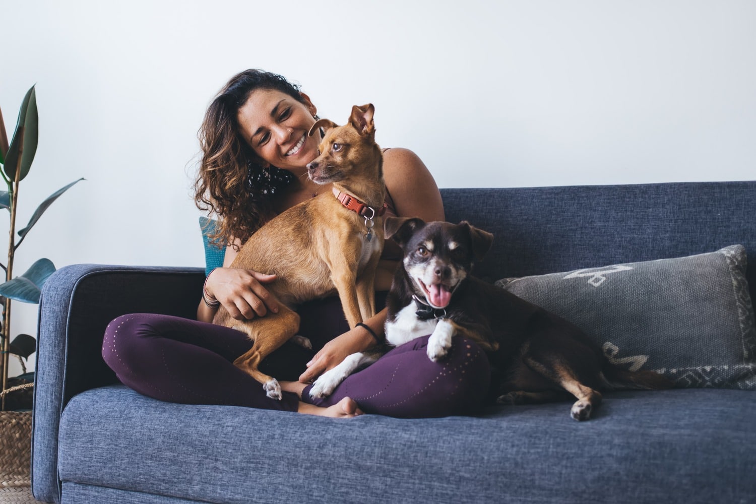 Woman plays with her dogs after X-Ray Care in Phoenix AZ