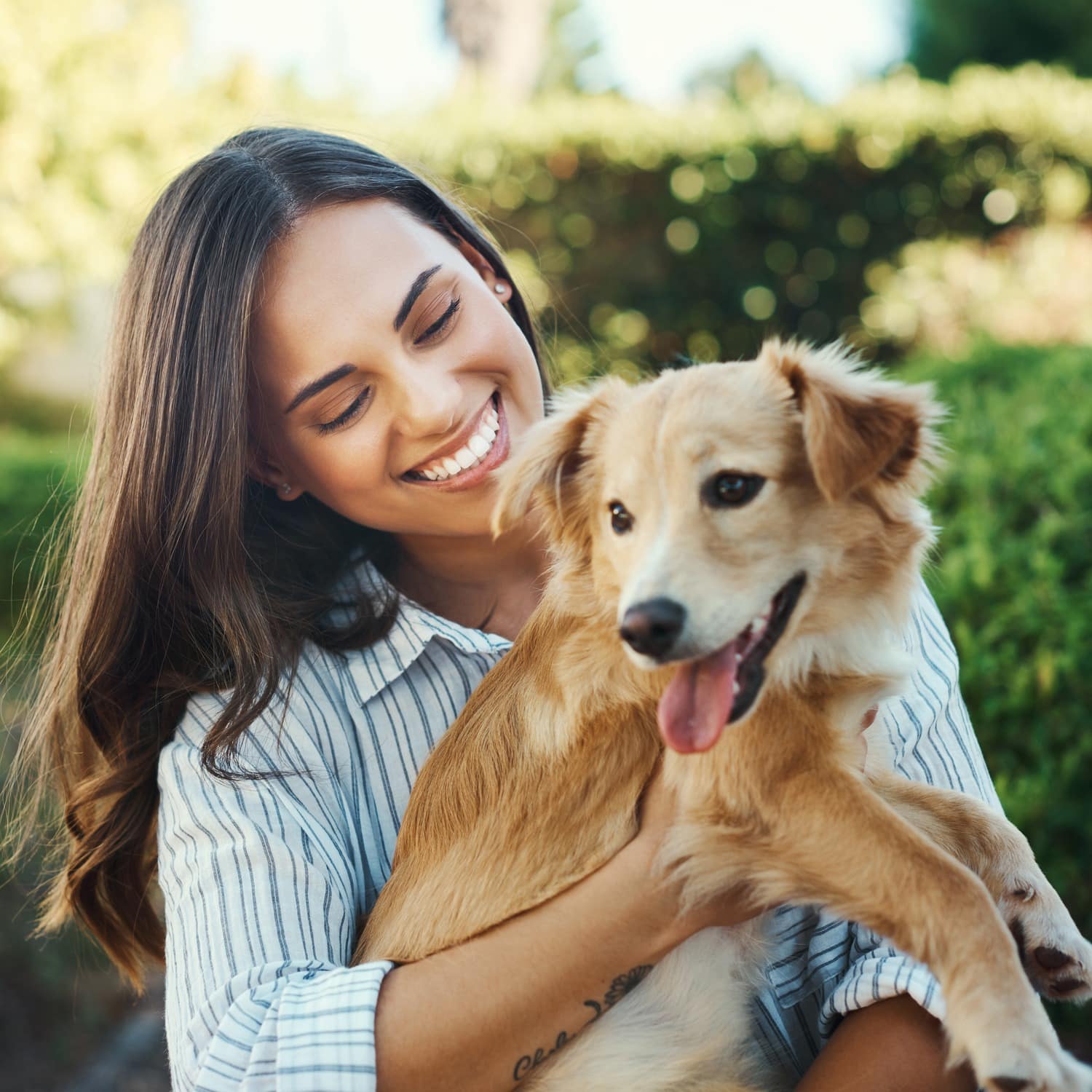 Woman holds her dog at the veterinary office in Northern Phoenix